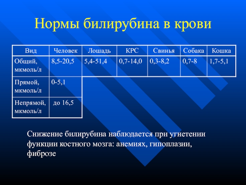 Норма Билирубина В Крови У Женщин После 50 Лет Из Вены