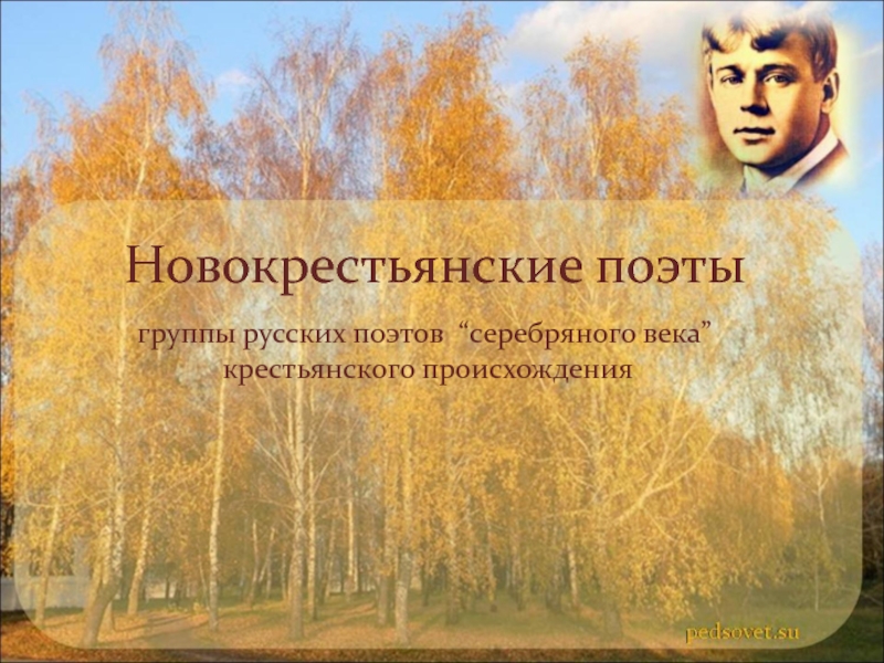 Новокрестьянские поэты