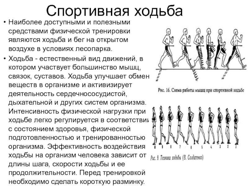 Варикоз И Бег Ходьба Наиболее Гармоничные Виды Физической Активности