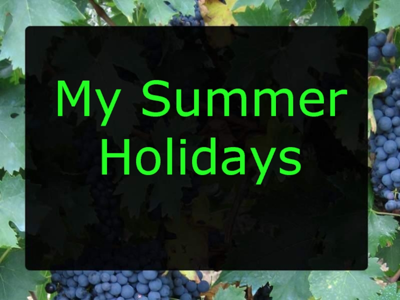 My Summer Holidays 5 класс