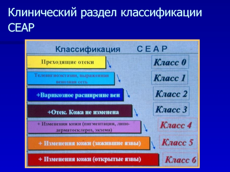 Классификация Варикозной Болезни По Сеар