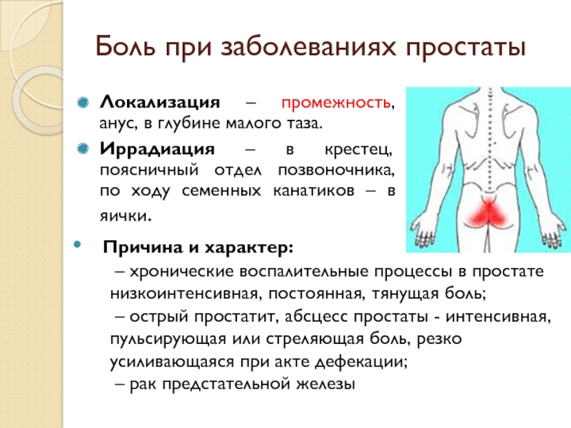 Промежность -  твоя эрогенная зона - Товары для мужчин