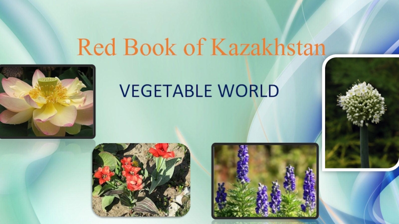 VEGETABLE WORLD
Red Book of Kazakhstan