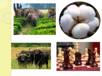 К открытому уроку «Природа и люди Древней Индии»