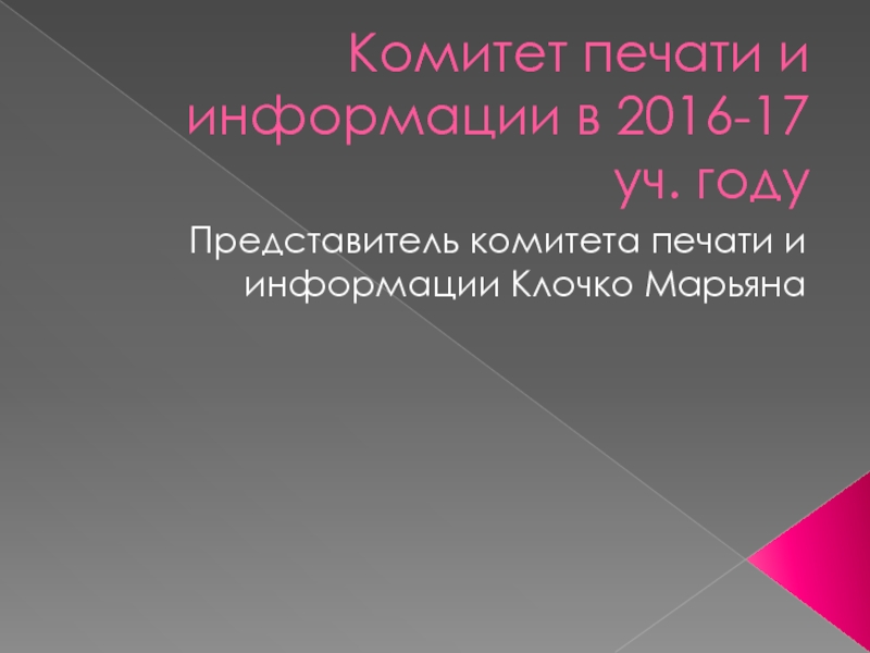 Комитет печати и информации в 2016-17 уч. году