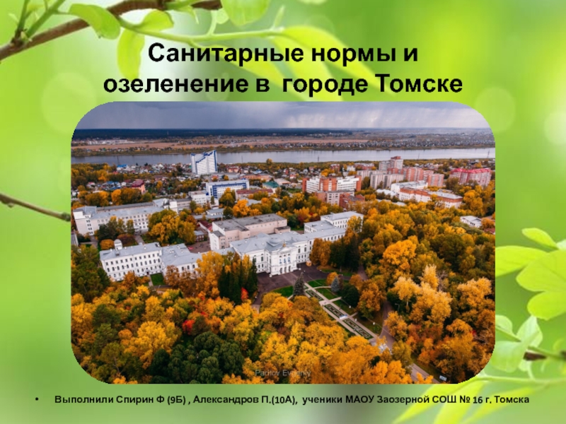 Санитарные нормы и озеленение в городе Томске