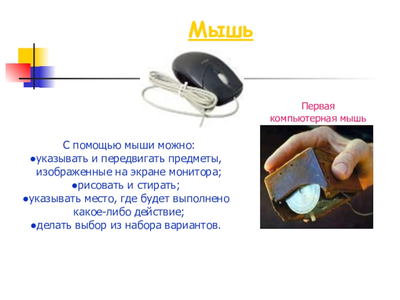 Вернуть Компьютерную Мышь В Магазин