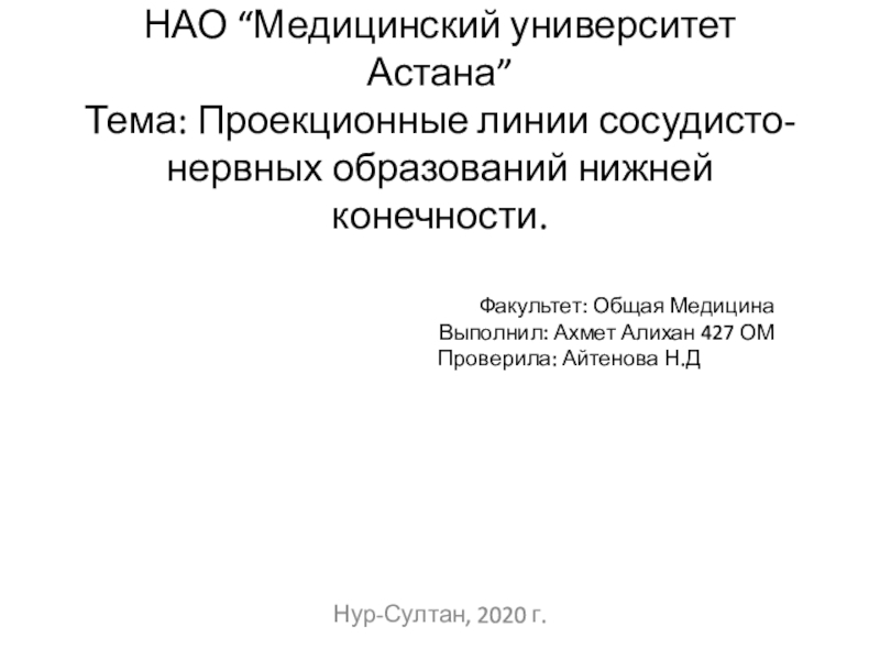 НАО “ Медицинский университет Астана ” Тема : Проекционные линии