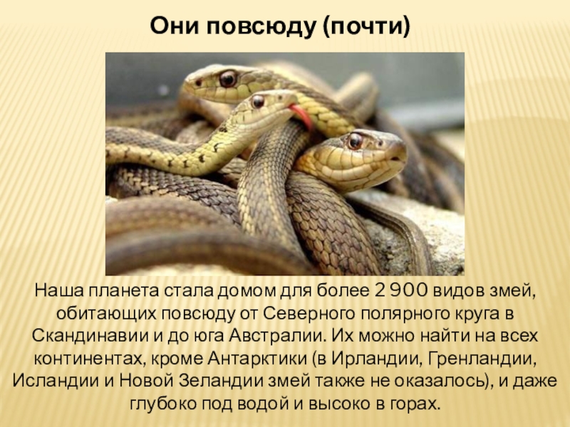 Гороскоп Змея Июль