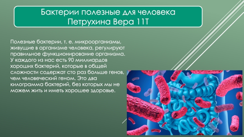 Бактерии полезные для человека
Петрухина Вера 11Т
Полезные бактерии, т. е