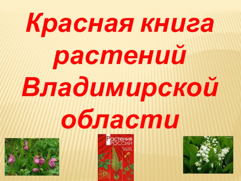 Красная книга растений Владимирской области