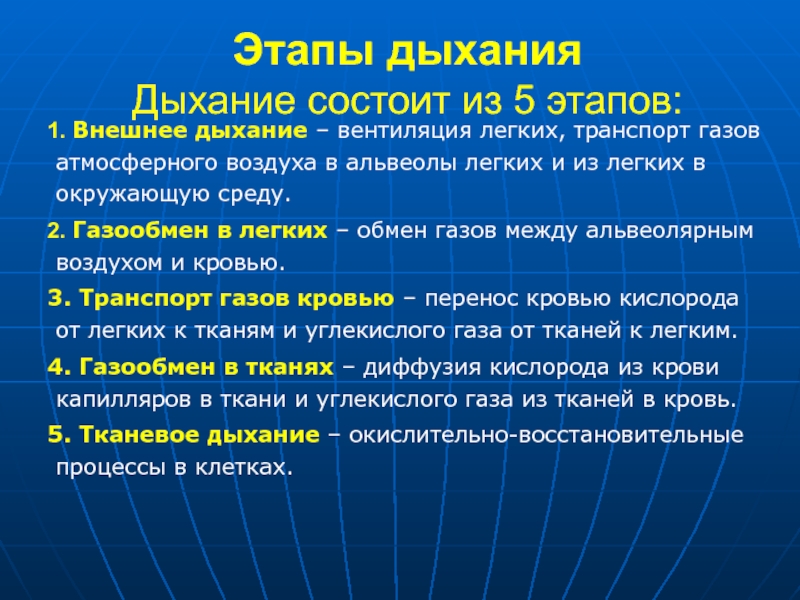 Дыхание транспорт газов. 3 Этапа дыхания. Этапы дыхания. Схема этапы дыхания. Этапы дыхания транспорт газов.