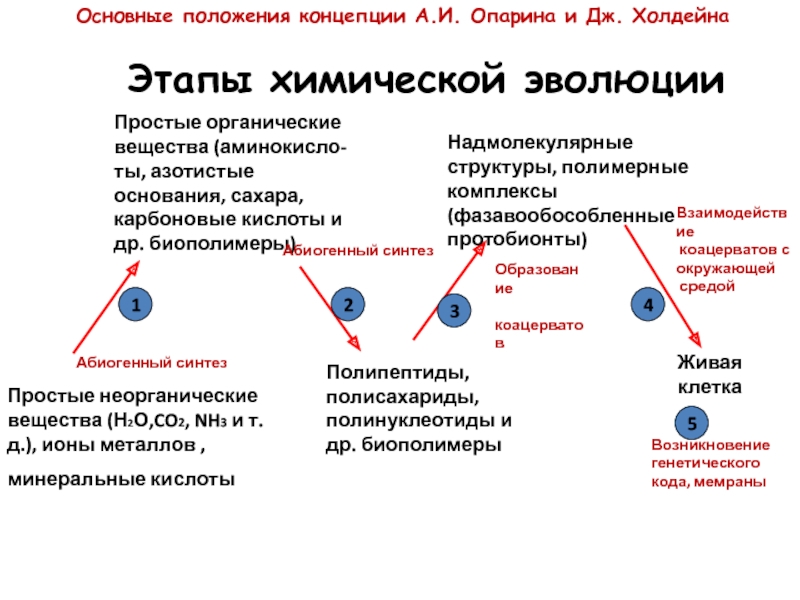 Основные этапы химической эволюции схема