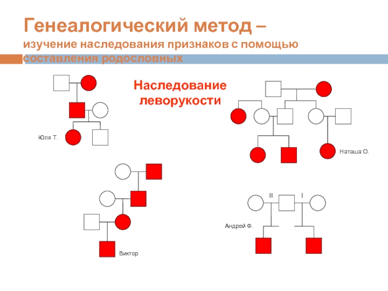 Проект изучение наследования признаков леворукости в семье