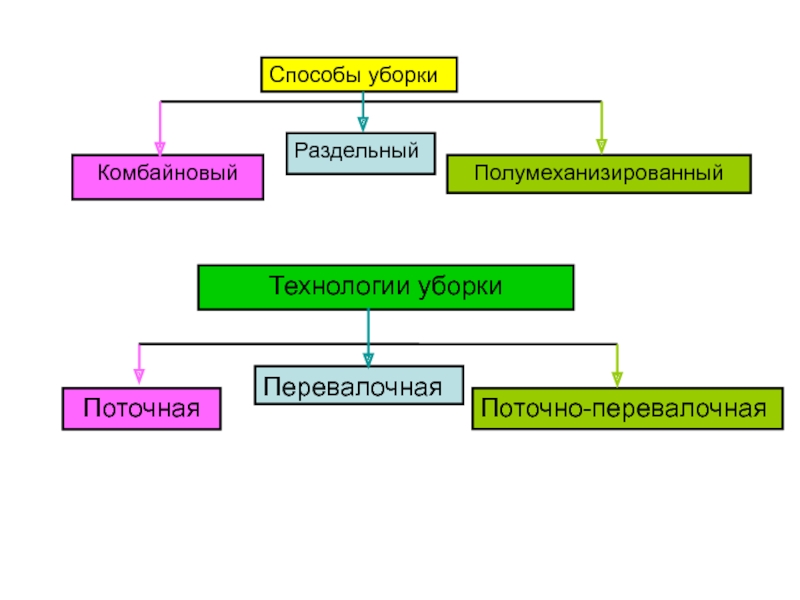 Способы уборки. Способы уборки сахарной свеклы. Поточно перевалочный способ уборки свеклы. Методы уборки. Поточный способ уборки.