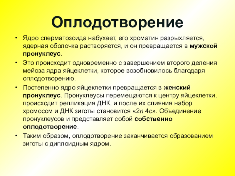 Тема произойти. Растворяется ядерная оболочка в. Растворение оболочки яйцеклетки. Способность к оплодотворению у мужчин определяется. При слиянии женского и мужского пронуклеусов образуется.