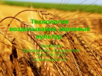 Технология возделывание зерновых культур