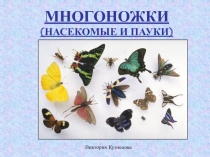 Многоножки