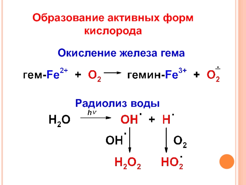 Окисление железа. Радиационно химические реакции радиолиз воды. Схема образования активных форм кислорода. Радиолиз воды схема. Окисление железа кислородом.