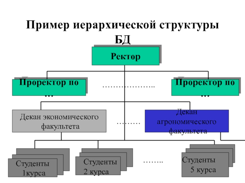 Ректор проректор декан схема