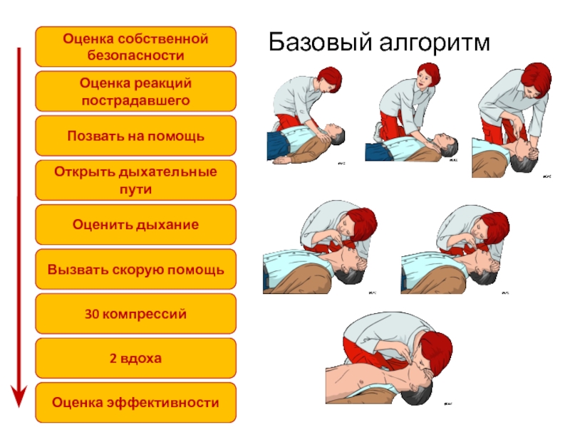 Сердечно легочная реанимация картинки