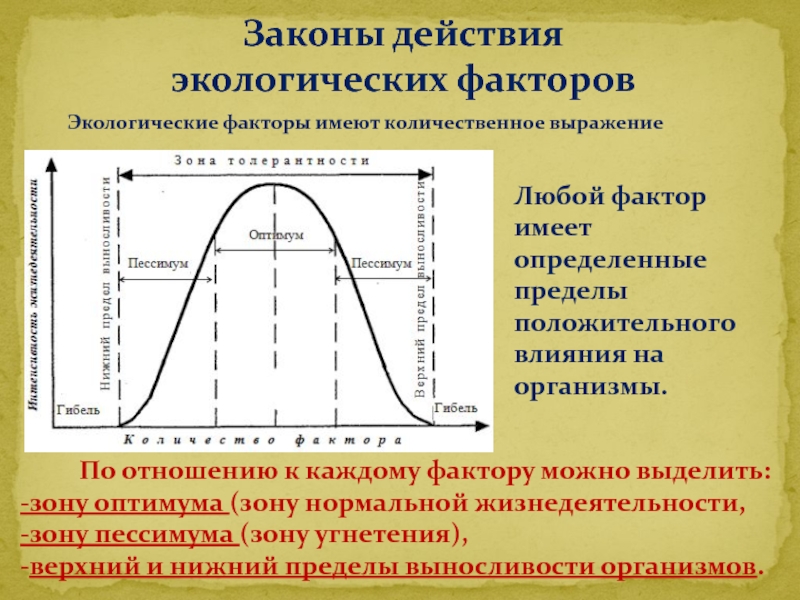 Схема действия фактора среды на организмы