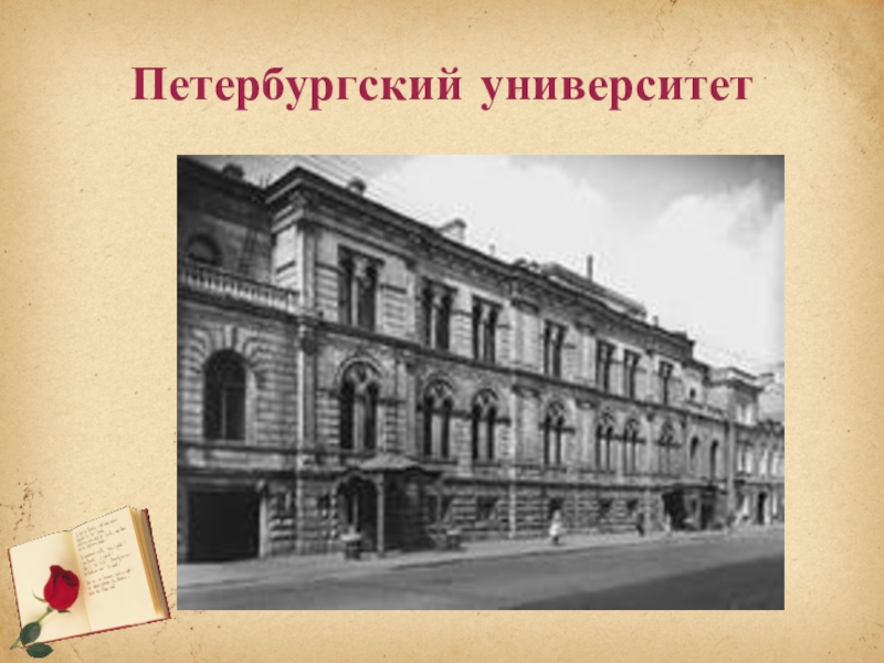 Петербургский университет начало. Петербургский университет 19 век Некрасов. Историко-филологический Факультет Петербургского университета 19 век. Петербургский университет 1898. Некрасов университет в Петербурге.