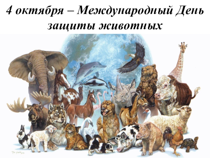 Презентация День защиты животных