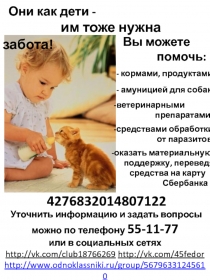 Они как дети -
им тоже нужна забота!
Вы можете
помочь:
- кормами, продуктами;
-