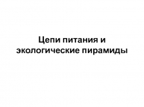 Цепи питания и экологические пирамиды