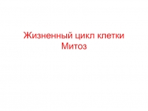 Жизненный цикл клетки Митоз