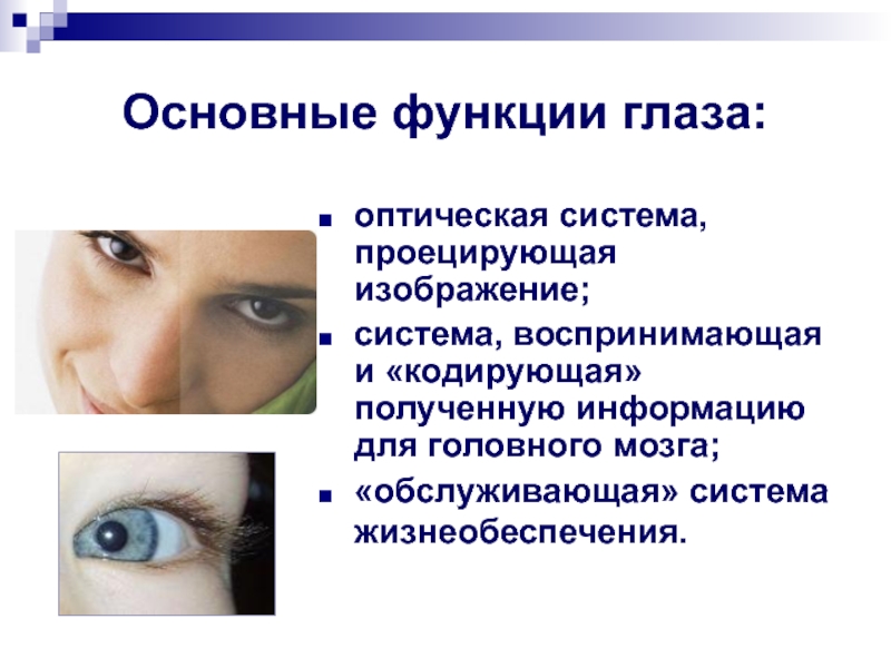 Зрение человека функции. Основные функции глаза. Основные функции зрения. Основная функция глаза. Основные функции глаза человека.
