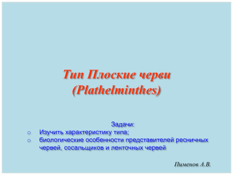 Презентация Тип Плоские черви (Plathelminthes)