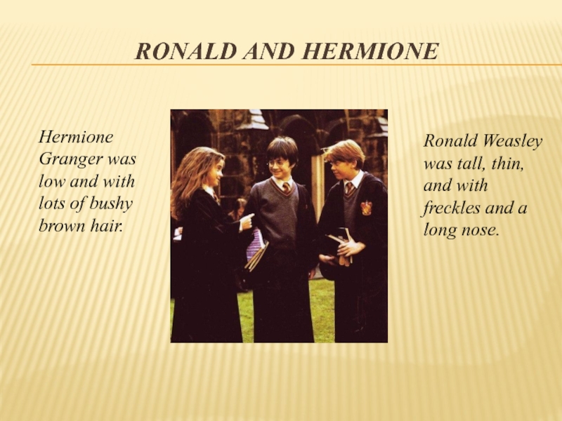Hermione Granger was low and with lots of bushy brown hair.Ronald Weasley was tall, thin, and with