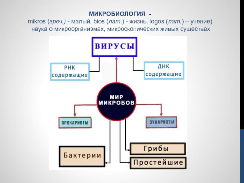 Взаимоотношения дисциплин в dh