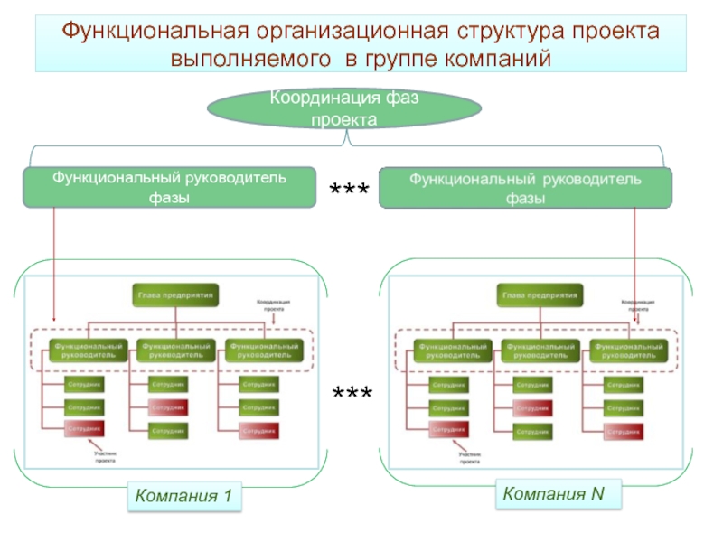 Функциональная структура управления проектом