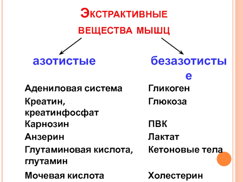 Что такое экстрактивные вещества бульоны