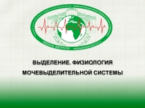 Выделение. Физиология мочевыделительной системы