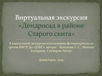 Виртуальная экскурсия Дендросад в районе Старого скита