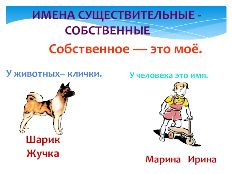 Москва это имя собственное или нарицательное. Имена собственные. Имена собственные клички животных. Имена собственные презентация. Собственные и нарицательные существительные.