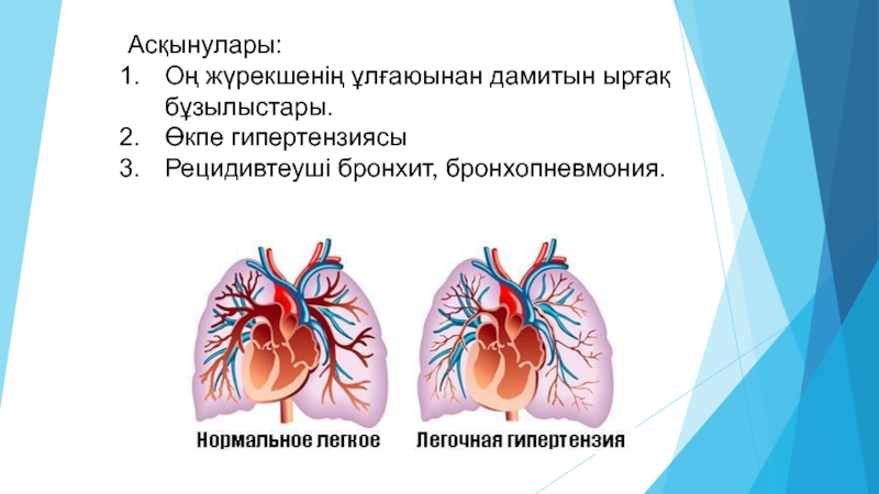 Бронхит бронхопневмония. Өкпе мен тіндердегі ГАЗ алмасу?.