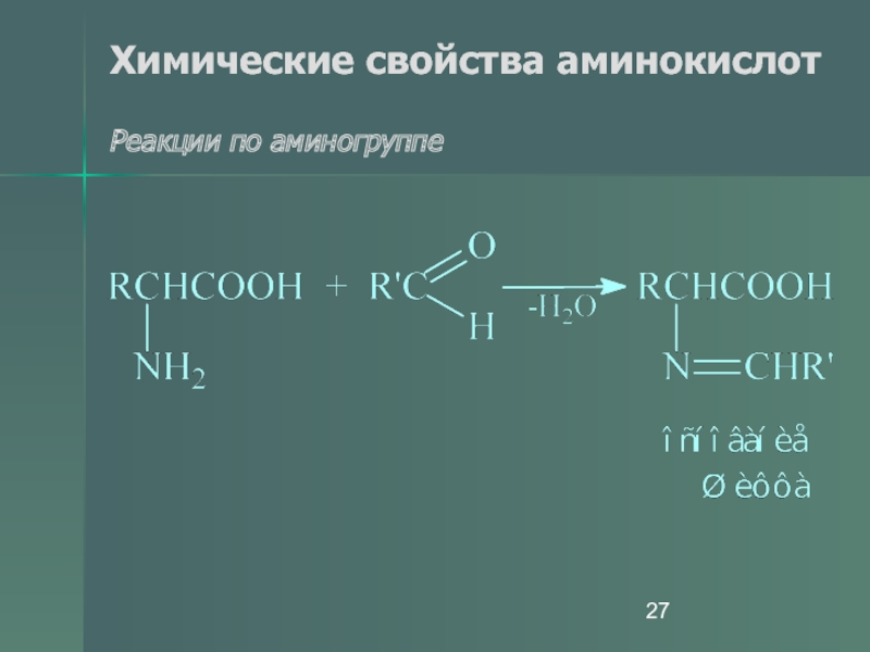 Реакции аминокислот. Химические свойства аминокислот реакции по аминогруппе. Аминокислоты реакции по карбоксильной группе и аминогруппе. Химические свойства аминокислот по аминогруппе. Реакции аминокислот по аминогруппе.