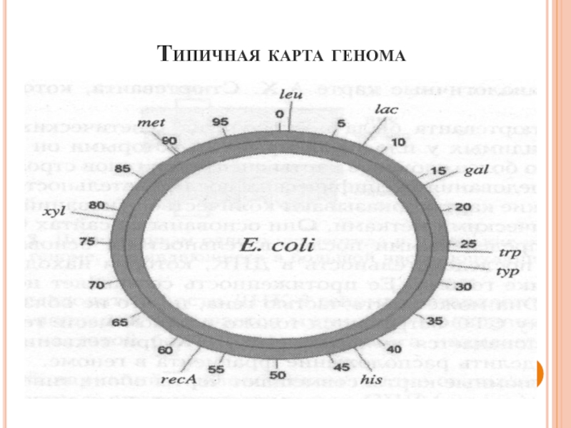 Генетическая карта здоровья