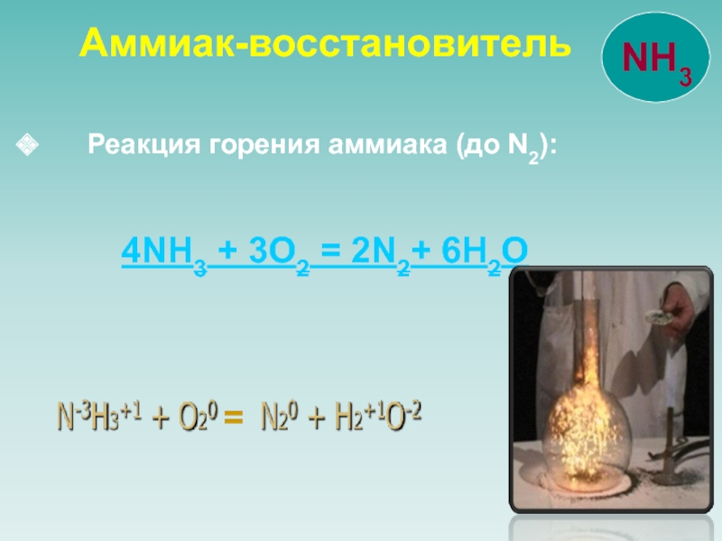Уравнение горения аммиака. Nh3 02 горение. Горение аммиака реакция. Реакции с аммиаком. 2 Реакции горения аммиака.