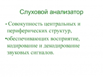 Слуховой анализатор.ppt