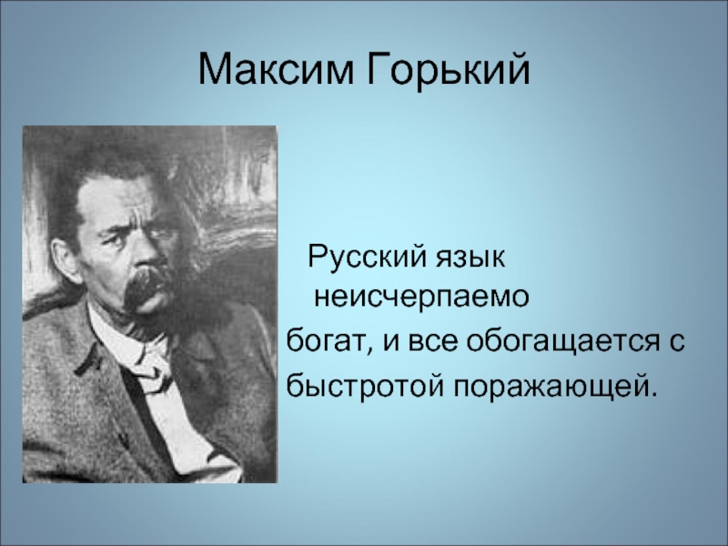 Русский язык неисчерпаемо богат презентация