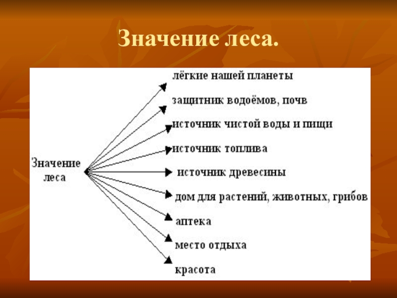 Схема значения леса в жизни северян