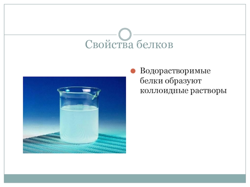 Коллоидный раствор белков. Водорастворимые белки образуют коллоидные растворы. Коллоидные свойства белков. Белки образуют коллоидные растворы. Коллоидный раствор белка.