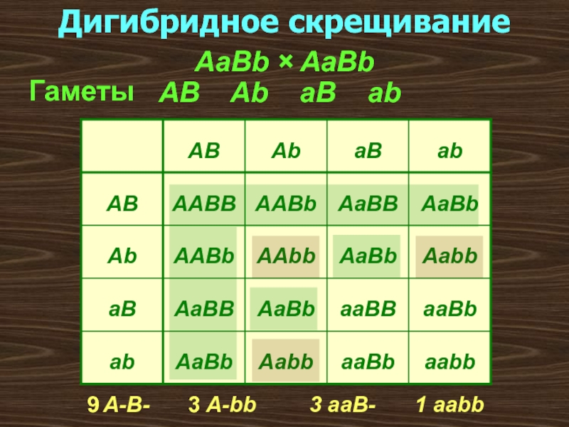 Ab ab ответ. AABB AABB скрещивание. Дигибридное скрещивание AABB AABB. AABB X AABB скрещивание. AABB гаметы.