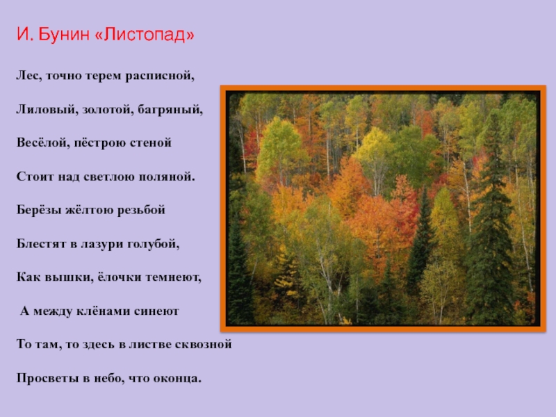 Листопад учить. Бунин листопад лес точно Терем расписной. Бунина «листопад». Лес, точно Терем расписной,. Бунин лес багряный золотой. Бунин ...лес....лиловый золотой.